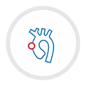 border-vascular_0003_aortic-peripheral-aneurysms vascular surgery Aortic and Peripheral Aneurysms